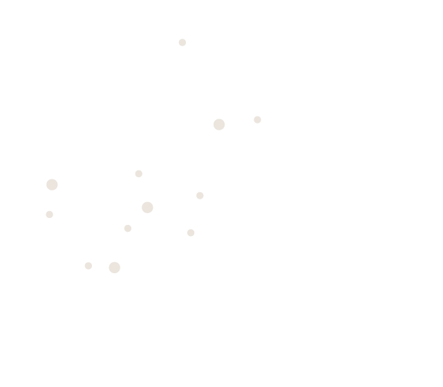 Spread Cheer This Holiday